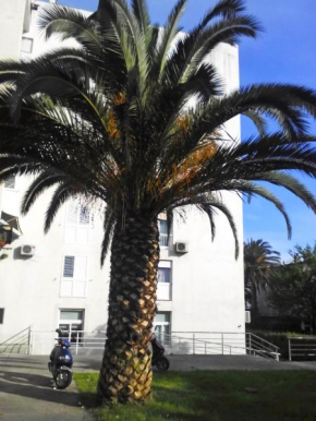  Apartments with a parking space Makarska - 11567  Макарска 